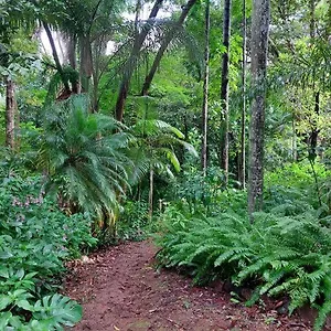 https://secluded-rainforest-haven-3-acres-sleeps-7.queenslandhotels.net